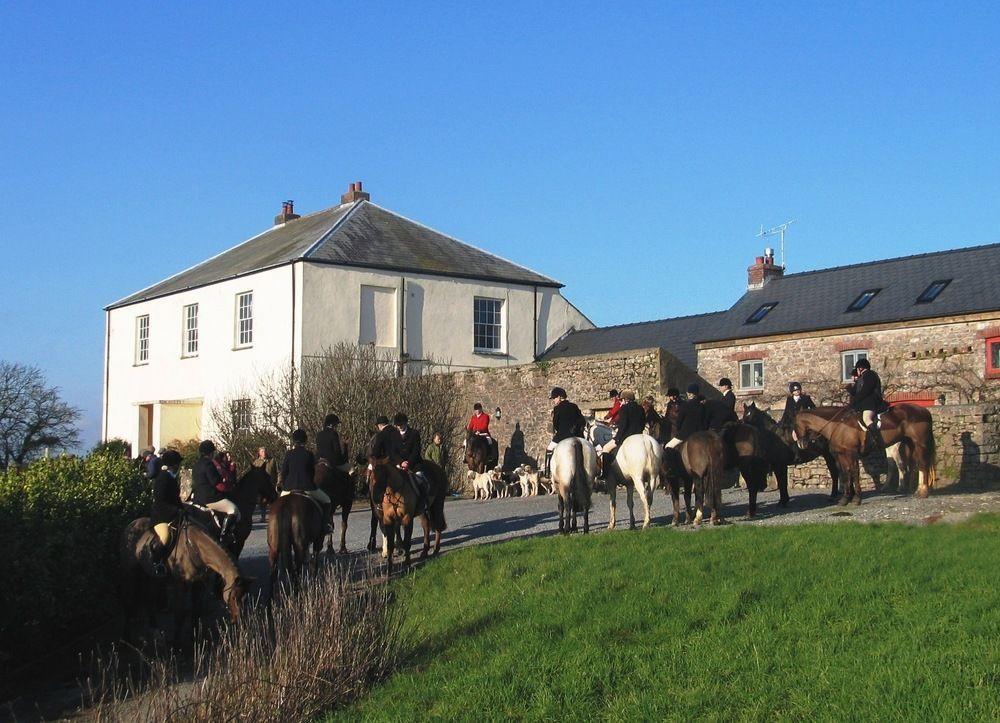 Penzion Lamphey Park Exteriér fotografie